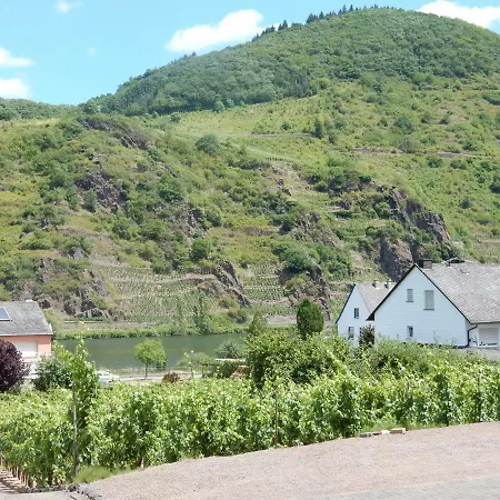 Fewo Moselschiefer Ellenz-Poltersdorf